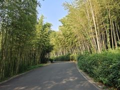 -苏州环秀晓筑养生度假村