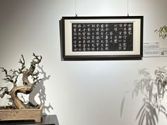 -中华世纪坛