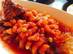 松鼠桂鱼-新木器时代餐厅(太湖新天地店)