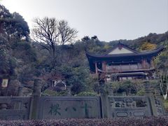 -十八棵（老龙井）御茶园(老龙井店)