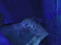 -石家庄海洋公园