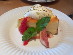 -O'eat Blossom&Pelican(深圳首店)