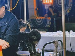 -吴山路夜市