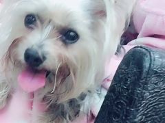 -雨林宠物医院 非犬猫异宠专科