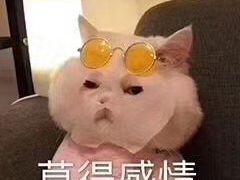 -汉堡王(龙德广场店)