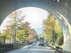 -塔川景区