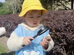 -绿城奇妙园双语日托(华茂悦峰园区)