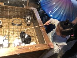 -酷嗒动物文化乐园(cutezoo西溪乐天城店)