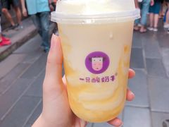 -一只酸奶牛(八一路店)