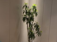 -东方威尼斯温泉酒店
