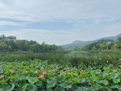 -南京市江宁方山