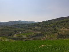 -牙胡梯田