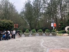 -合肥滨湖国家森林公园