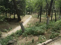 -云岗森林公园
