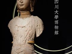 -四川大学博物馆