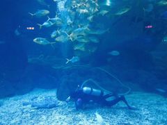 -福州罗源湾海洋世界旅游区