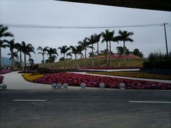 -光明小镇欢乐田园