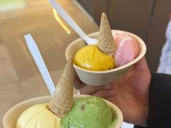 -极拉图·现制冰淇淋(大卫城店)