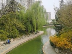 -团结湖公园