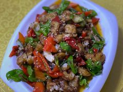 -煲来饱去冷水鱼