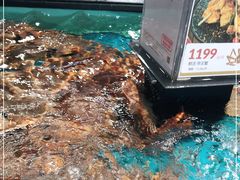 -盒马鲜生(曜一城店)