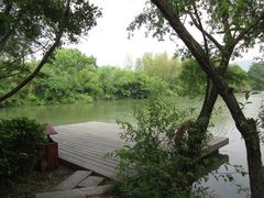 -西溪国家湿地公园