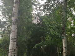 -莲湖公园