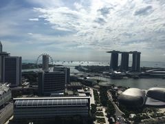 -新加坡瑞士史丹福酒店