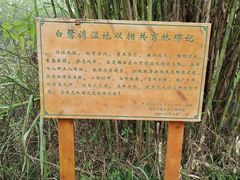 -白鹭湾湿地公园