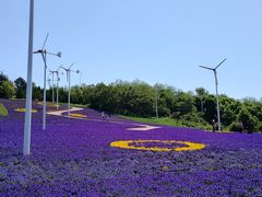 -沈阳植物园