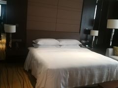 -扬州绿地铂骊酒店