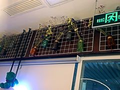 大堂-九秋茶铺(三里屯店)