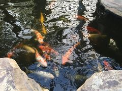 -龙达温泉生态城