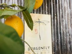 -Dragonfly悠庭·按摩Spa(浦东嘉里城店)