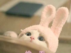 -豆相识•九九豆腐脑(牛咡桥店)