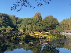 -杭州植物园