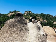 -大岭沟猕猴桃谷风景区