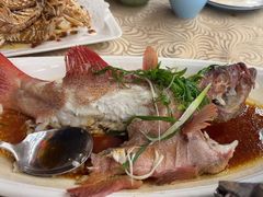 -湛江渔港·大排档(乐园路总店)