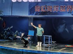 -苏州海洋馆