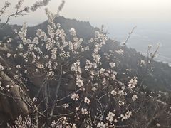 -北京凤凰岭