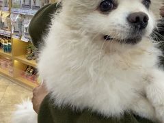 -美联众合动物医院·24h转诊中心
