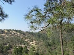-灵岩山风景区