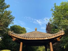 -诗经里