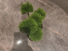 -漫·汤泉