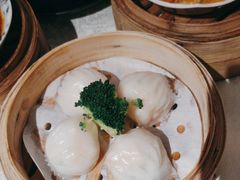 -南海渔村(珠江新城店)