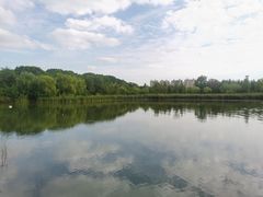 -昆山城市生态森林公园