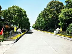 -上海都市菜园