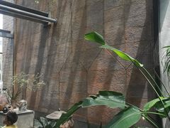 -泓0871臻选云南菜·味庄