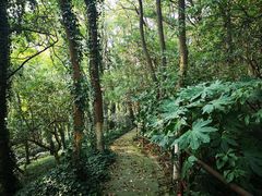 -上海市保健医疗中心(华东疗养院)