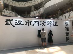 -武汉光谷K11